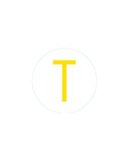 Bogg Bit - Initial "T"