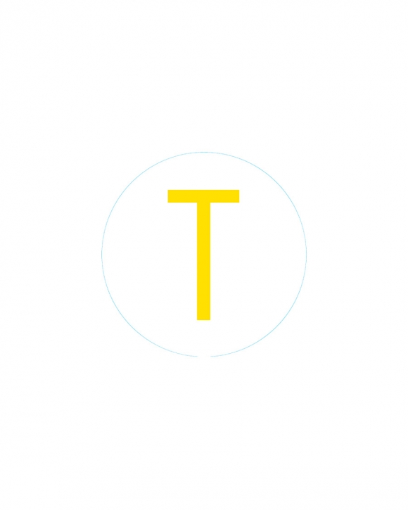 Bogg Bit - Initial "T"