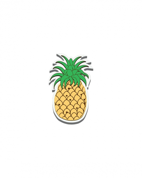 Bogg Bit - Pineapple
