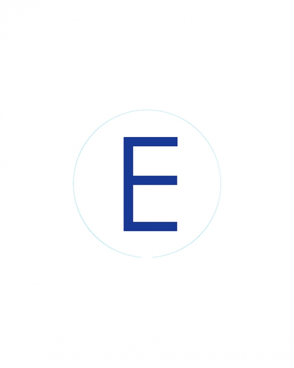 Bogg Bit - Initial "E"