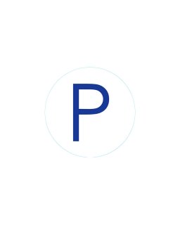 Bogg Bit - Initial "P"