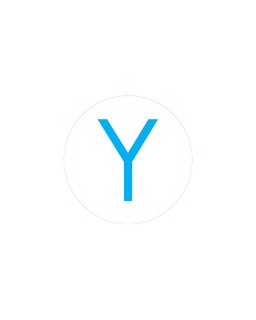 Bogg Bit - Initial "Y"