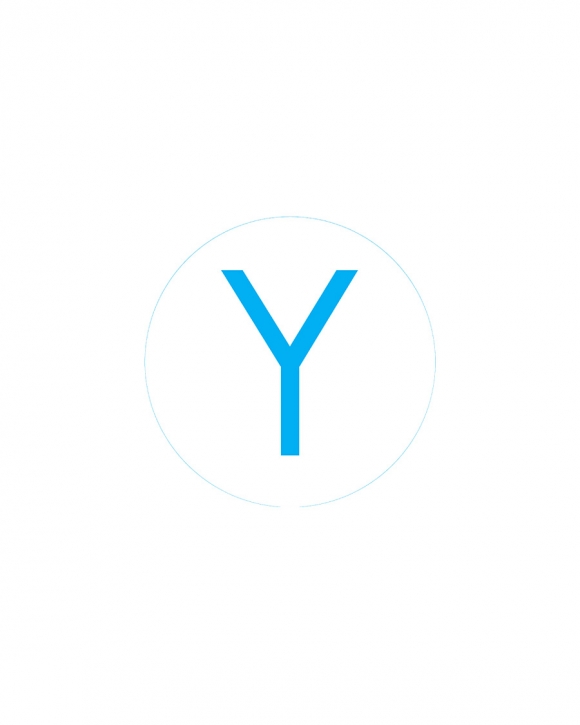 Bogg Bit - Initial "Y"