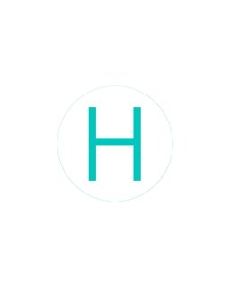 Bogg Bit - Initial "H"