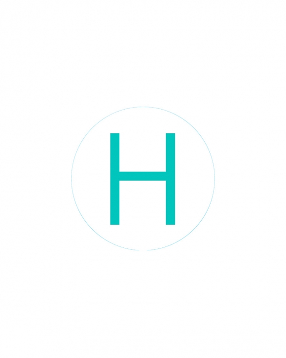 Bogg Bit - Initial "H"