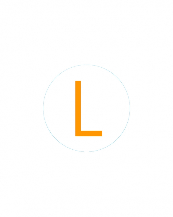 Bogg Bit - Initial "L"