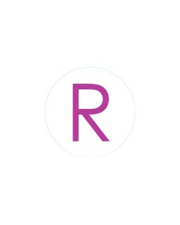 Bogg Bit - Initial "R"