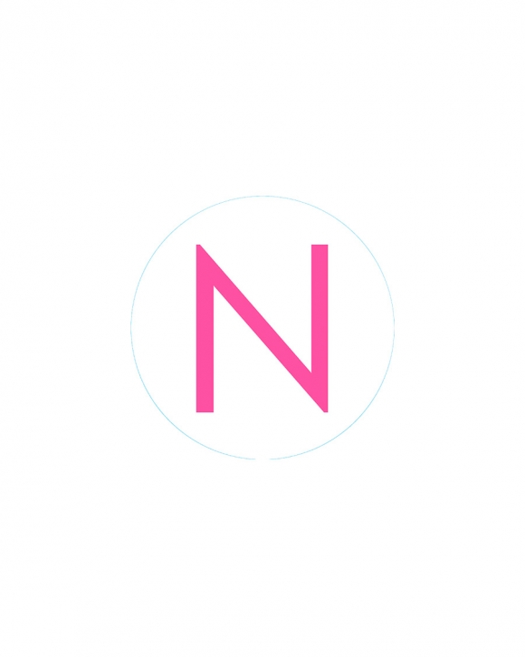 Bogg Bit - Initial "N"