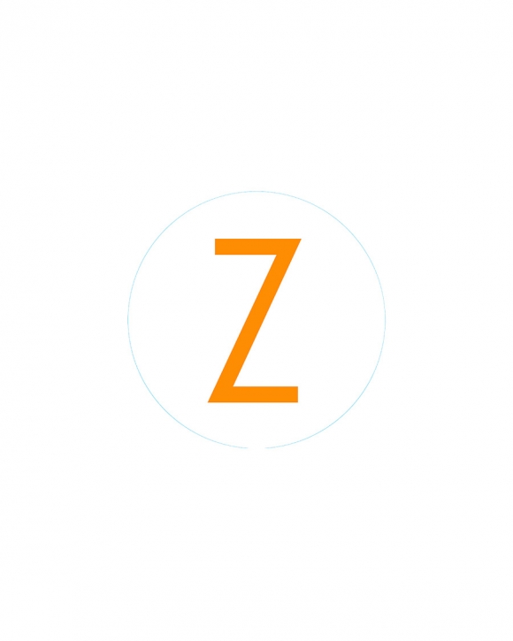 Bogg Bit - Initial "Z"